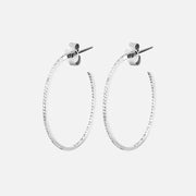 Delicate Diamond Hoop Earrings